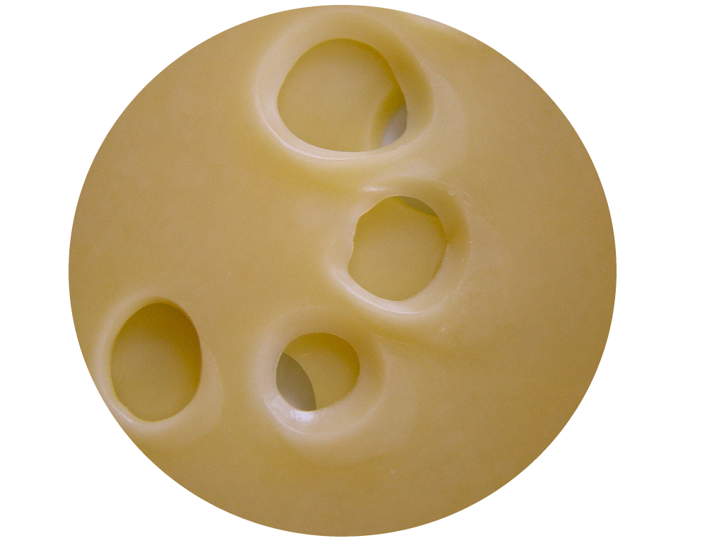 Swiss Profile Image